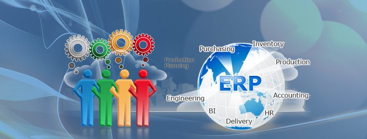 ERP/Portal Development - Giggles Infotech